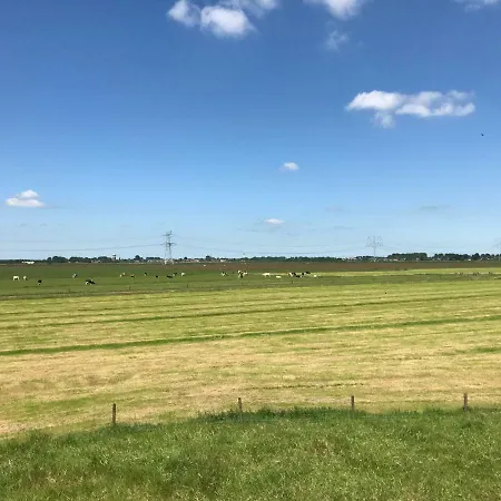 Zaanschap